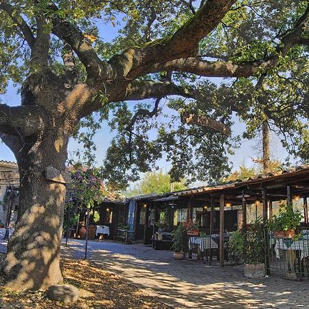 La Vecchia Quercia Bed & Breakfast Selci  Exterior photo