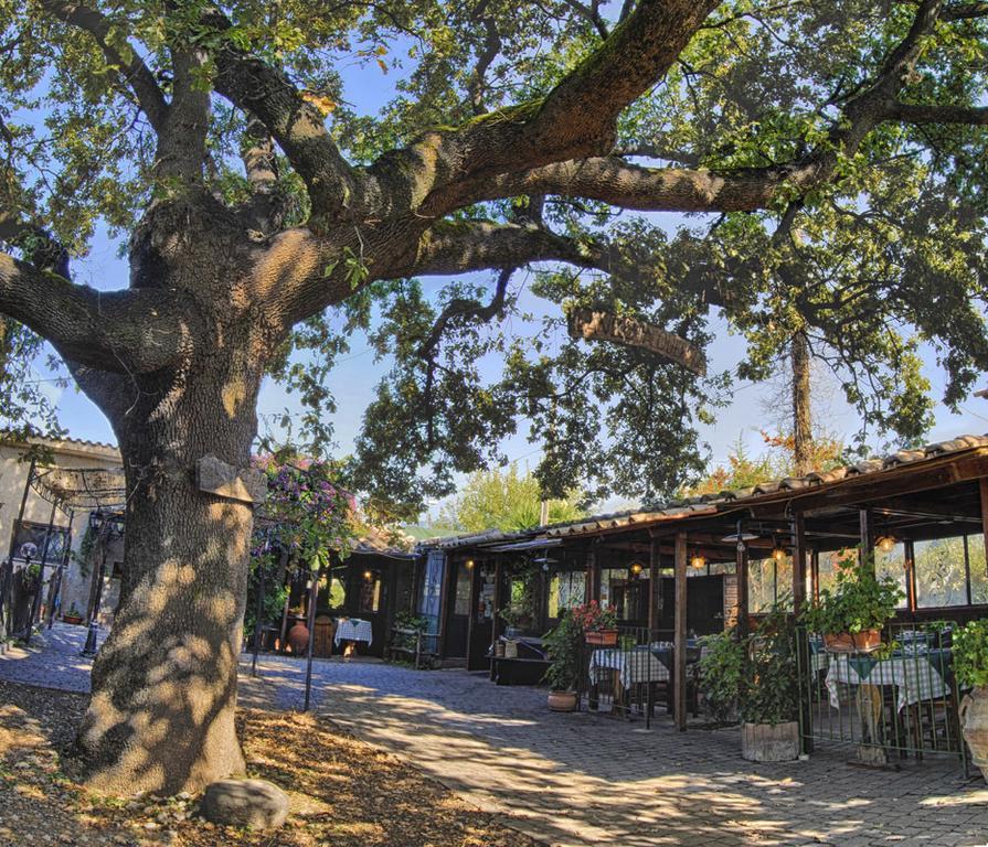 La Vecchia Quercia Bed & Breakfast Selci  Exterior photo