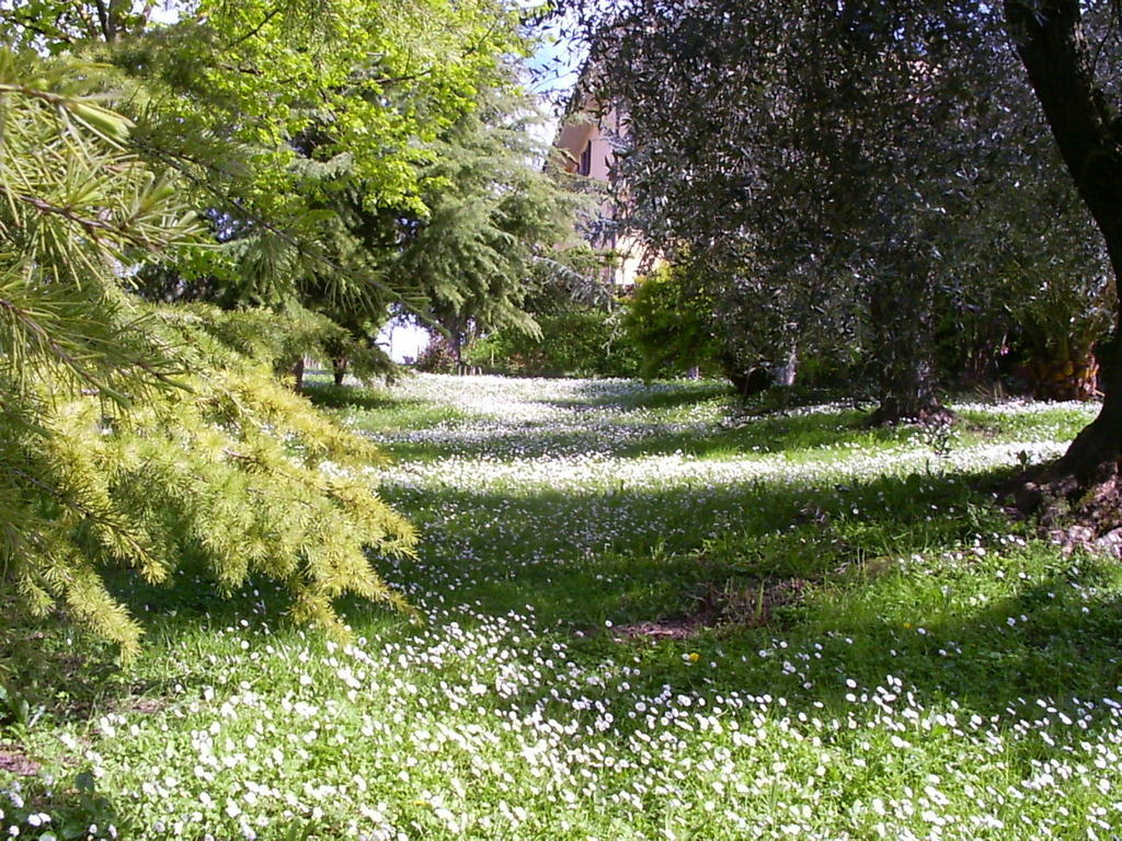 La Vecchia Quercia Bed & Breakfast Selci  Exterior photo